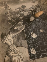 Image 1 of ‘Victorian 1800s -  faces’ taxidermy spider" 1800s Page With Preserved Web