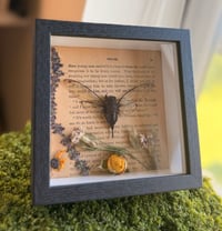 Image 4 of Gilded Cicada