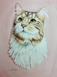 Image 2 of Graphite / Watercolor Pet Portrait