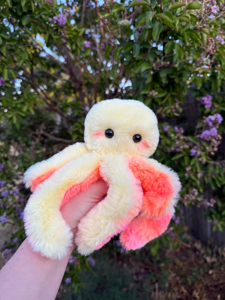 Image of Yellow sorbet octo