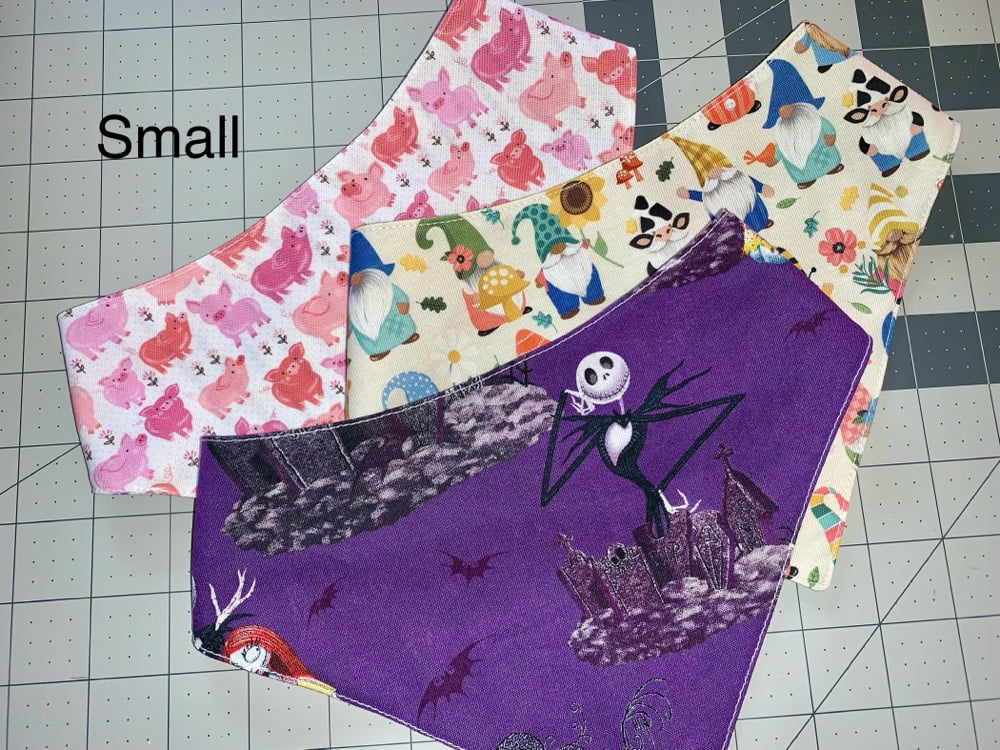 Image of Snap-On pet bandana S