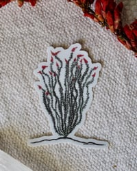 Image 2 of Ocotillo Sticker