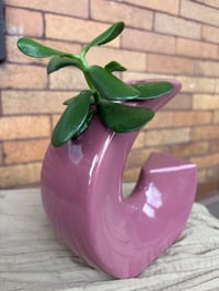 Image 1 of Jade Plant in Purple Geometric Pot