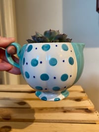 Image 3 of Pulido's Echeveria in Speckled Teal Pitcher