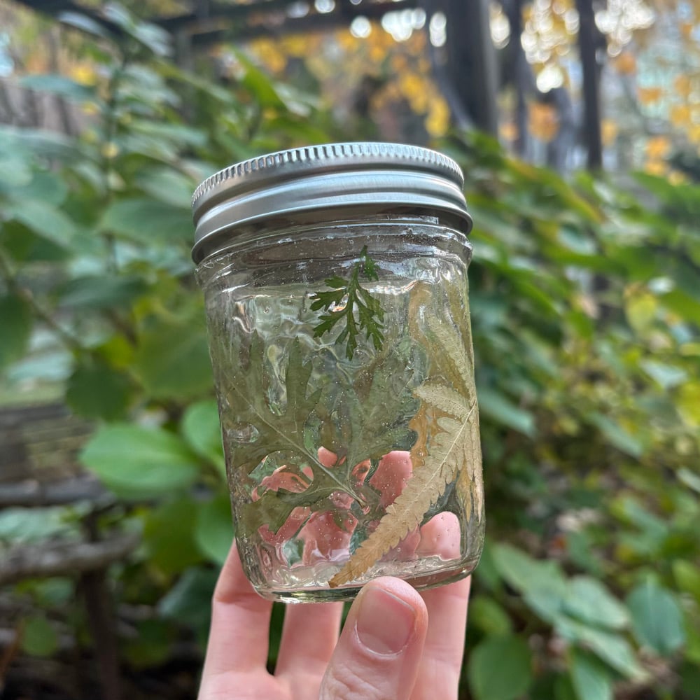 Image of floral 8oz jar greenery