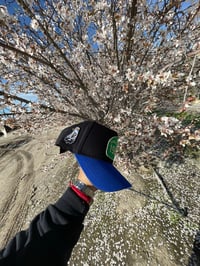 Image 5 of 198 Black and  Blue 