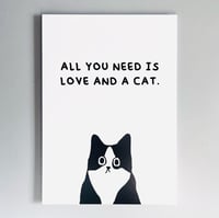 Image 1 of POSTCARD THE_NK_CAT ALL YOU NEED IS LOVE AND A CAT
