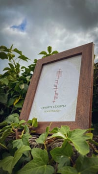 Image 1 of Anam Chara (Soulmate)