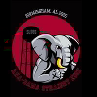 Image 2 of Birmingham "Fest" 2025 Exclusive Tee