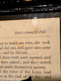 Image 5 of "Original Sin" 1800s Bible Page & Preseved Web 
