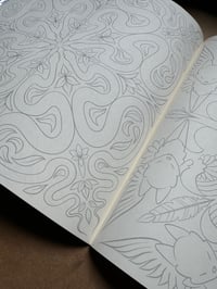 Image 6 of Fur, Feathers, Fins and Scales - 2024 Coloring Book