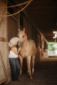 Image 1 of Christmas at the Barn Minis Dec 14 Booking Fee copy