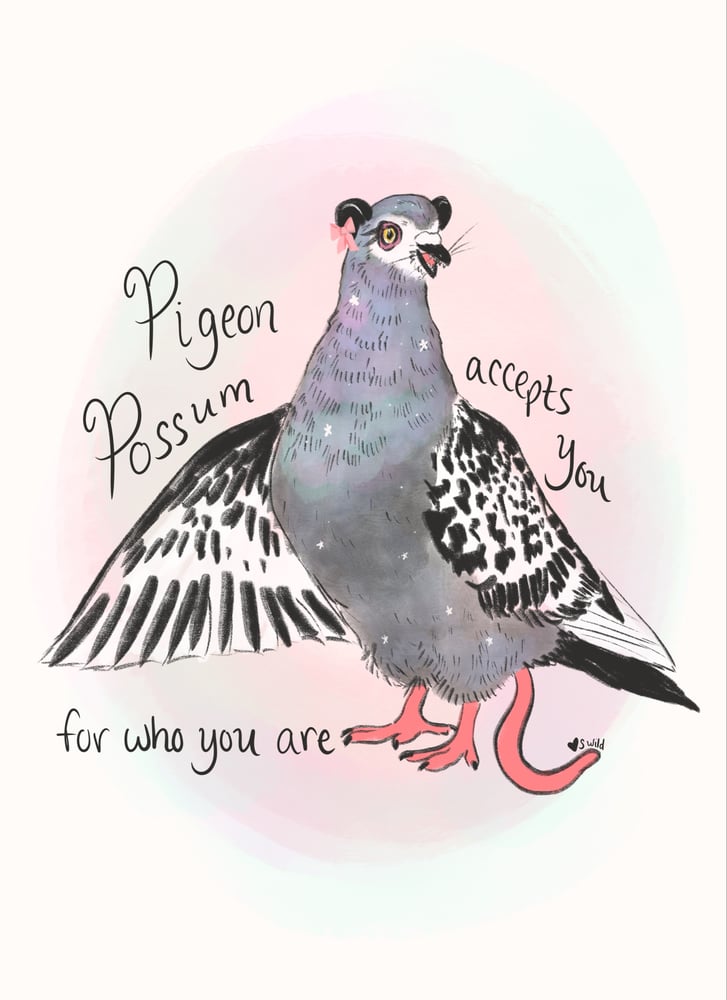 Image of Pigeon Possum accepts you for who you are 