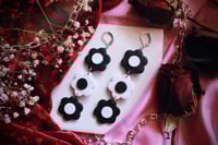 Black & white daisies