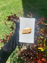 4oz Cheesecake Brick