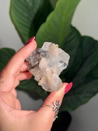 Image 2 of BOWTIE STILBITE X DIAMOND APOPHYLITE -INDIA- E
