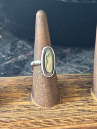 Image 1 of Abalone Ring (6)