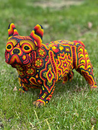 Image 1 of Large Frenchie 07