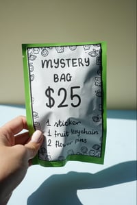 Image 2 of Mystery Bags