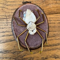 Image 3 of Spider (c, 2x2.5 inches)