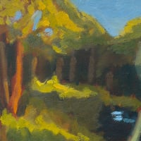 Image 4 of Afternoon at the Route 117 Pond.