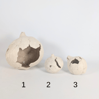 Image 1 of Zoe Hillyard Organic Vessels