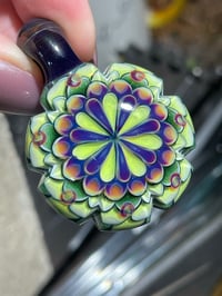 Image 5 of Stellar slyme 