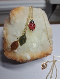 Image 4 of Ladybug 🐞 