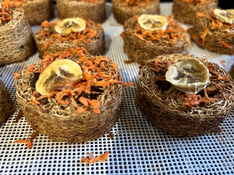 Image of Banana infused loofah cake with dehydrated carrot and banana