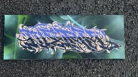 Handpainted negative scheme 80x30cm Canvas #2