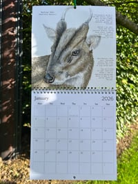Image 2 of 2026 Hedgerow Calendar