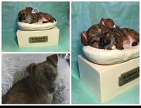Image 16 of Custom Engraved Chihuahua Pet Urn Handpainted To Your Photos