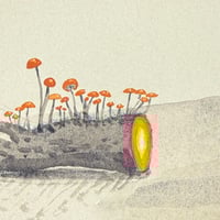 Image 4 of “Not that easy”