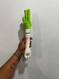 Image 2 of Spring onion (each sold separately)