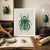 Image 6 of Green Protaetia Beetle PRINT 