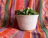 Image 2 of WILD Remedies Series  -  MARCH 29th - Spring Tonics 