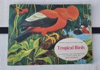 Image 3 of Vintage Brooke bond card books