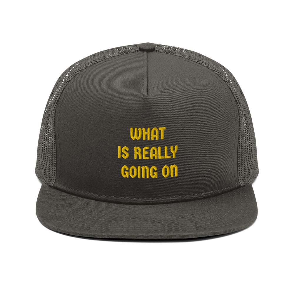 Image of "WHAT IS REALLY GOING ON" Mesh Back Snapback