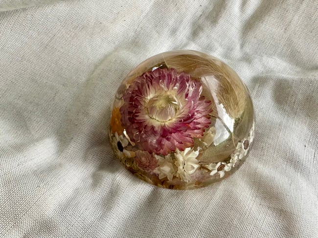 Flower Dome - Straw Flower, Bunny Tail & Natives