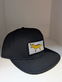 Image 5 of AS Colour ‘stock panel's cap