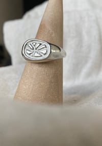 Image 1 of Clementine 