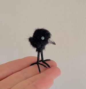 Image of Very Tiny Raven Baby #1