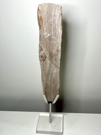 Image 6 of Andamooka Opal Painted Lady Display Piece #2646