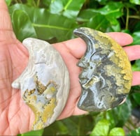 Image 1 of Bumblebee Jasper Moons