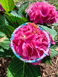 Image 7 of Dolphin Girl 