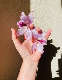 Image 2 of 💜Bauhinia Studs💜Purple