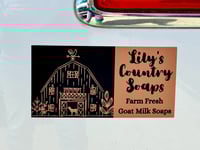 Lily's Bumper Sticker