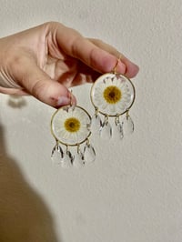 Image 2 of ✨🌼Daisy Spark🌼✨