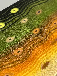 Image 7 of Bull Trout V2 by Mikie