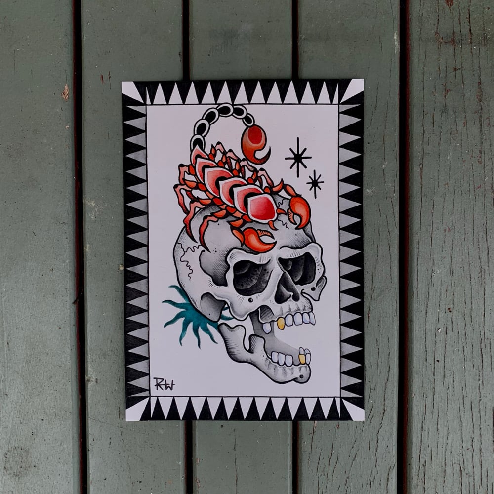 S C O R P I O N S K U L L